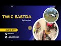 Twic eastda by panyieu aka thon machete pachuilmedia