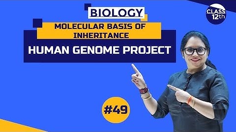 Human Genome Project | Molecular Basis of Inheritance | Class12th | Part 49 | #NEET |#CBSE |