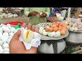 Popular Healthy Boiled Eggs Are Delicious To Eat | Bangladeshi Street Food | Mr Food Lover