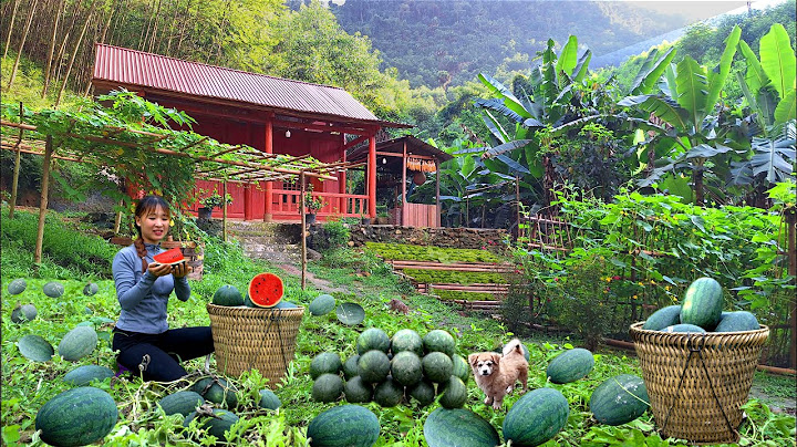 Build a farm and garden in the mountains: lots of watermelons to sell harvest at the market.