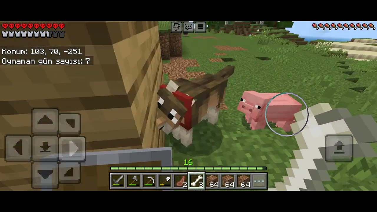 HARDCORE 100 GÜN - 6. GÜNDE SADIK DOSTUM OLDU HUBUR