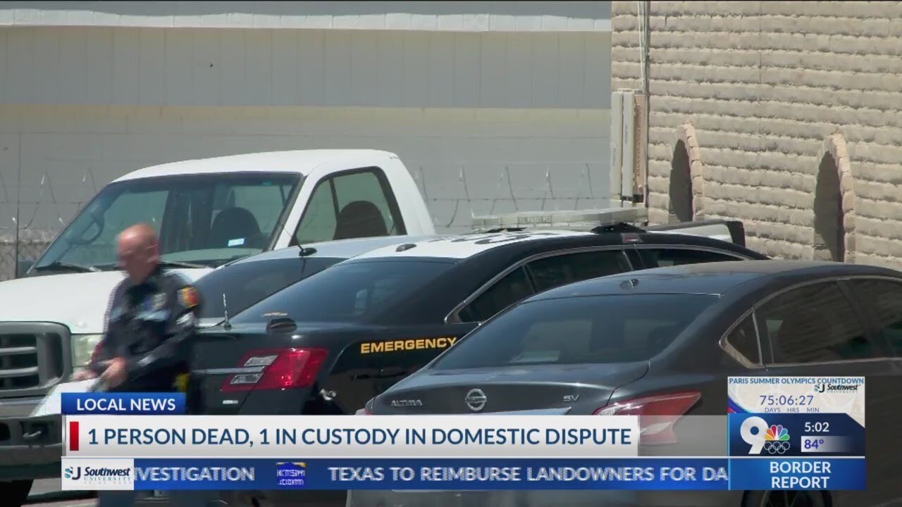 1 person dead, 1 in custody in domestic dispute - YouTube