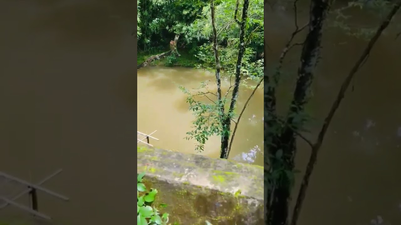 প্রাকৃতিক সৌন্দর্য #shorts#viral #shortsvideo