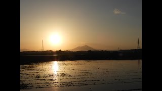 20210507 2蛙の合唱団!