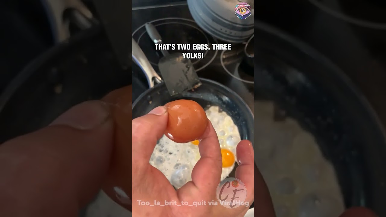 Double Yolk… AND a Whole Extra Egg?! Unbelievable Find 🥚😲