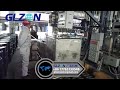 1000L IBC Ton Barrel Filling Machine | High-Precision Industrial Liquid Filling Line