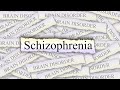 Schizophrenia: A Brain Disorder