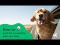 How to Pack for a Road Trip with Your Dog | Rover.com