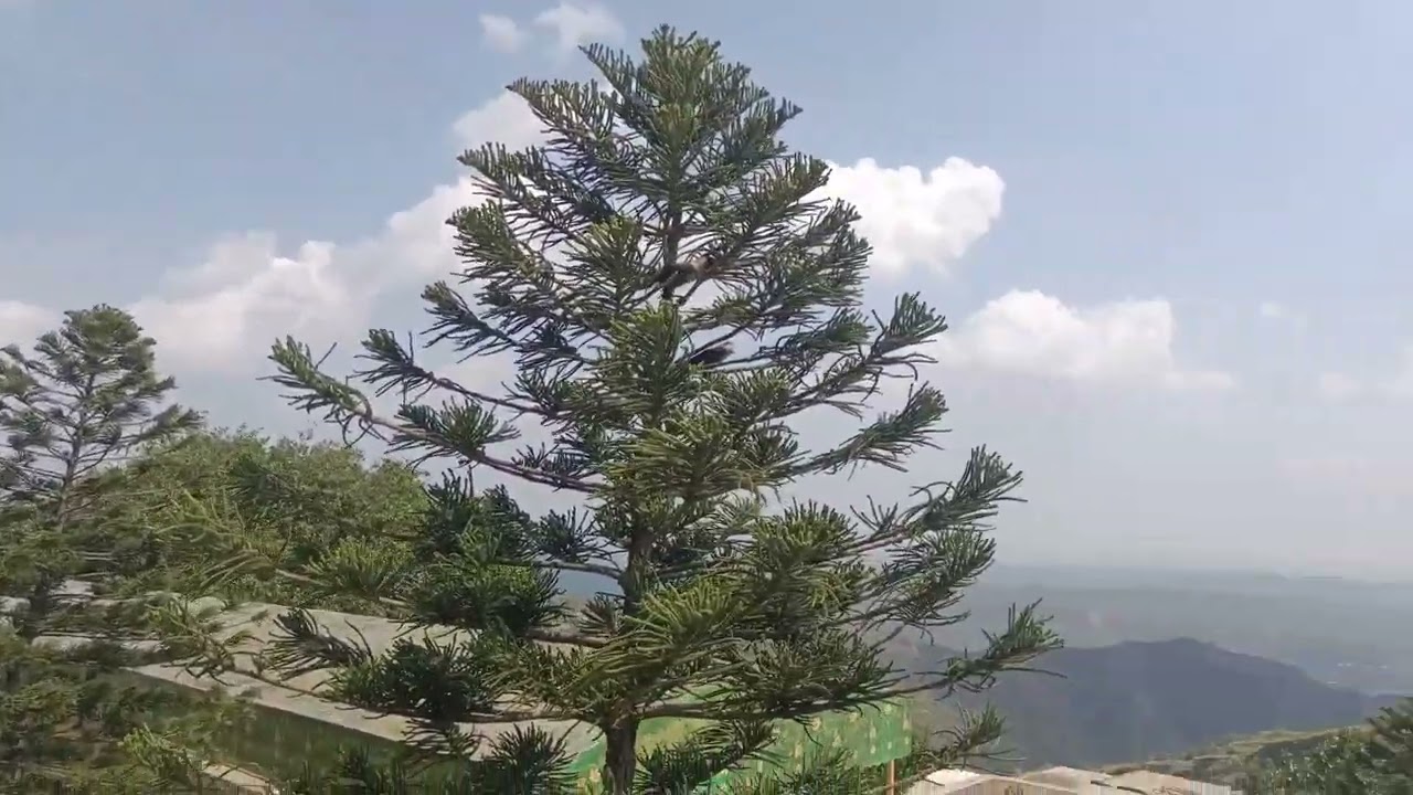 Kashmir bhimber mirpur khareesharif