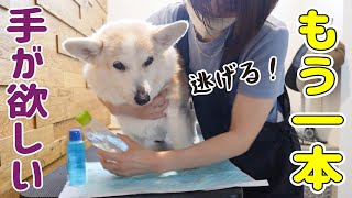 【手の洗浄】さりげなく抵抗してくるので手が足りません…!