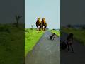 Big dinosaur jurassic world t-rex part246#dinosaur #trending#jurassicworld #vfxshorts #dinosaur