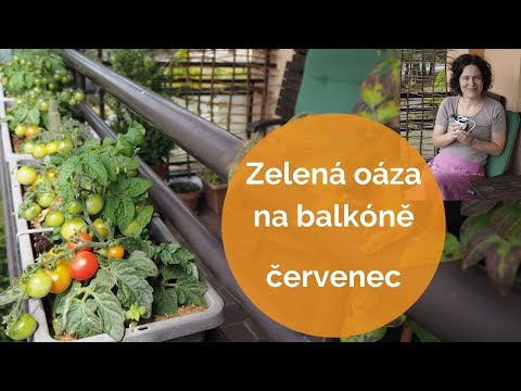 Video: Zahrada Na Balkoně. Část 2