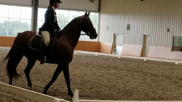 Vintage Ethan Moro at Houghton Horse Trials Dressage