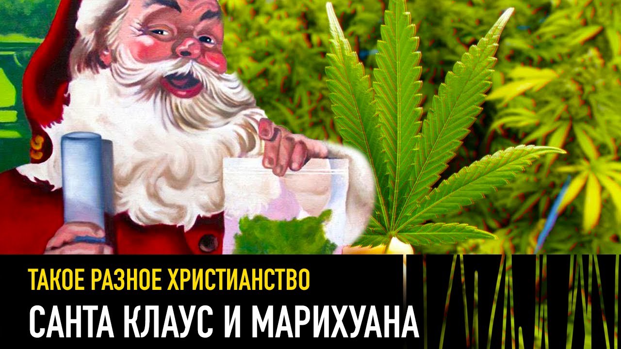 марихуана санта клаус марихуана санта клаус