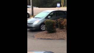 Squirrel keeps going back forth