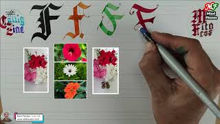 Gothic Blackletter Compilation Of Old English Font Uppercase F and Lowercase f. P 1 #CalligZine