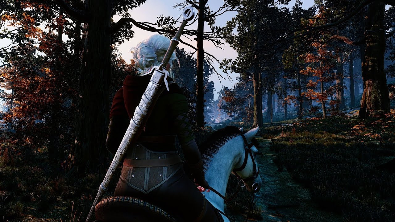 The witcher 3 save editor фото 101