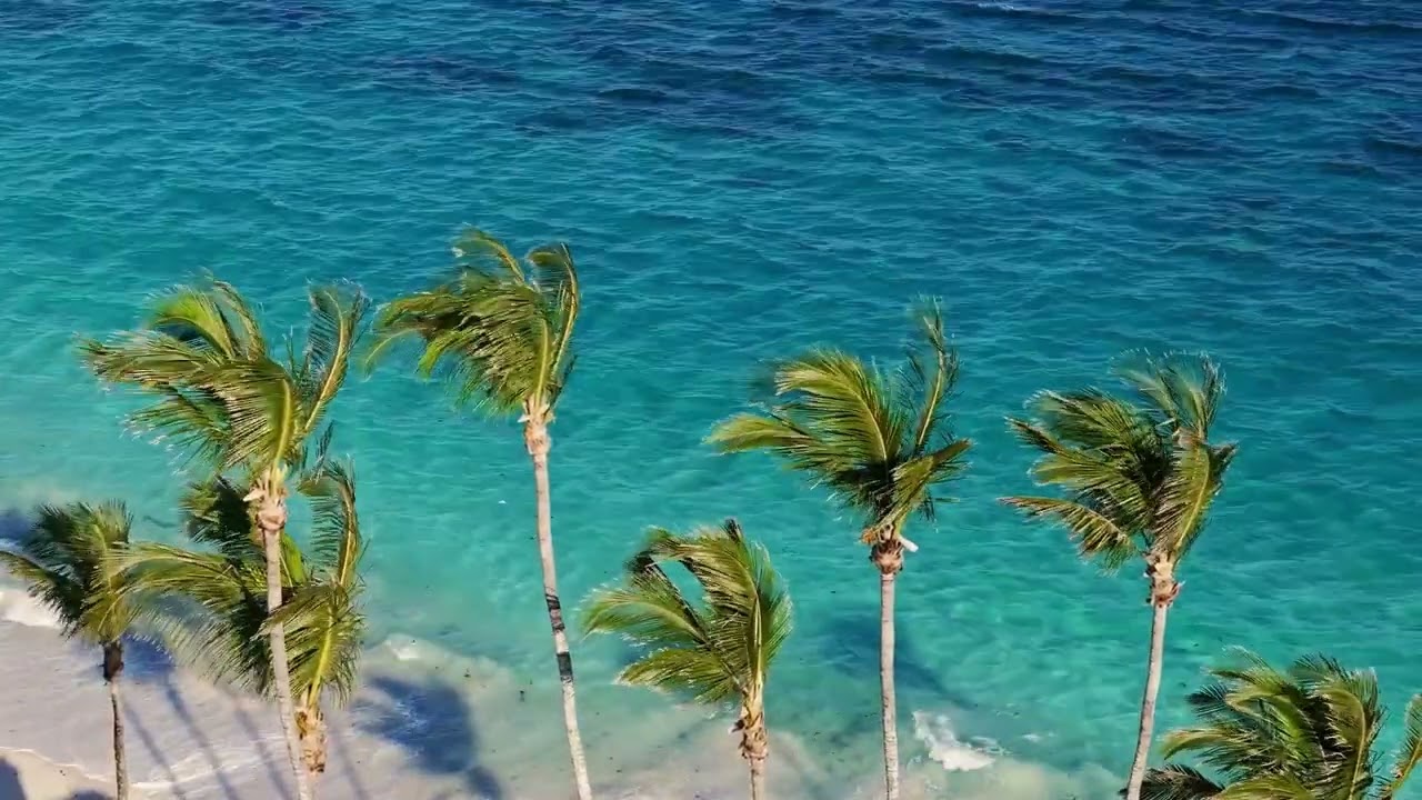 Çiğdem Uzun – Beni An (Official Music Video) | Yeni Türk Pop Şarkı 2026