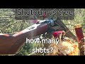 SHOTGUN VS TREE