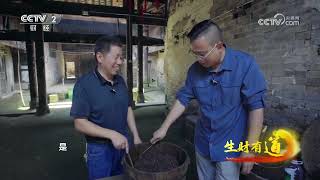《生财有道》 20230717 大山深处藏美味| 财经风云