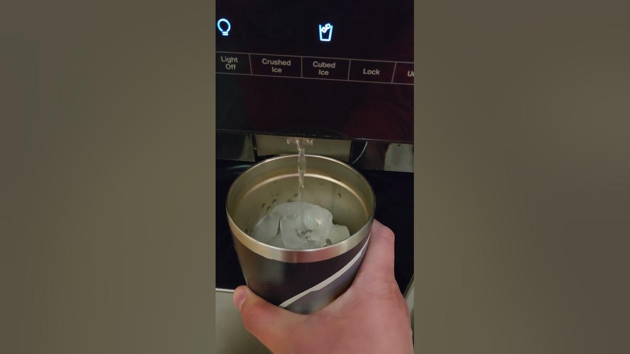 Slow refrigerator water dispenser DIY fix that worked for us! It might