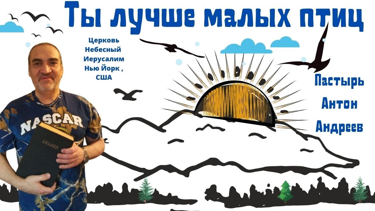 Игорь беркут проект небесный иерусалим