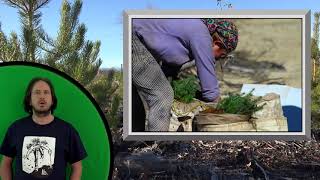 Tree Planter Training 2019 - Stock Handling