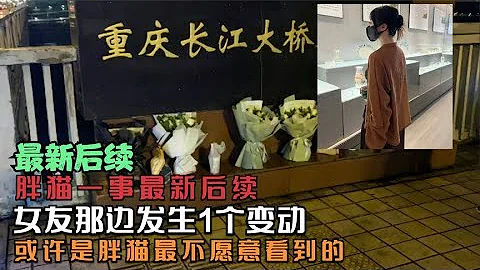 【胖猫事件】胖猫一事最新后续，女友那边发生1个变动，或是胖猫最不愿看到的 #胖猫 #日常唠嗑 #情感共鸣 #自渡自愈 #胖猫事件 - 天天要闻