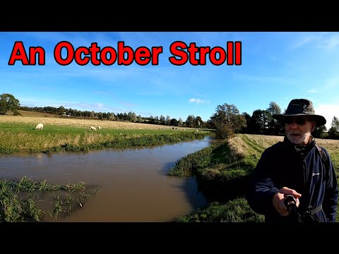 Trail Walking:  An October Stroll