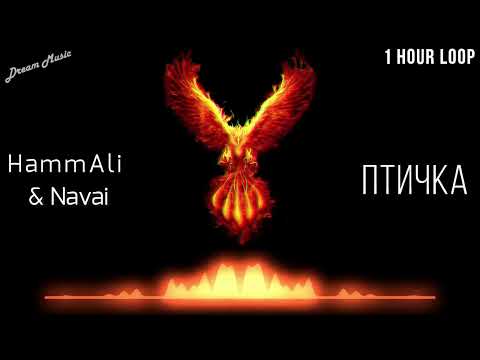 HammAli & Navai - Птичка // 1.30 Hour Loop