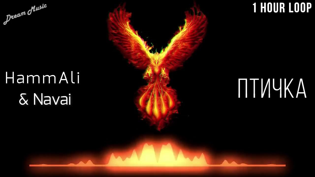 Хамали и наваи птичка. Птичка hammali navai. Хаммали птичка. Hammali navai обложка. Птичка (vadim adamov & hardphol remix) (radio edit).