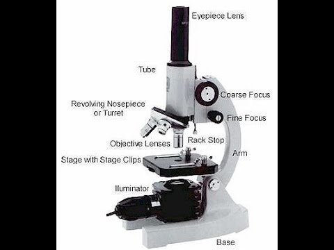 Use of microscope in hindi - YouTube