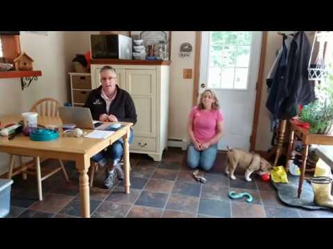 PUPPY LUNCH & LEARN: 5 tips for a fear free vet visit