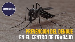 Prevención del Dengue en el Centro de Trabajo #GesseinPeru