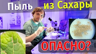 Изучаем пыль из Сахары под микроскопом. После песчаной бури в Украине.