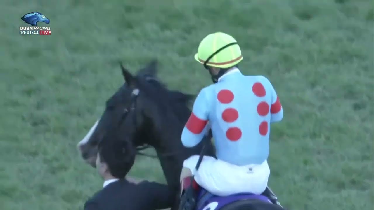 2022.12.25 Arima Kinen (The Grand Prix)(JPN) - Equinox