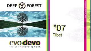 Deep Forest - Tibet (Evo Devo, 2016)