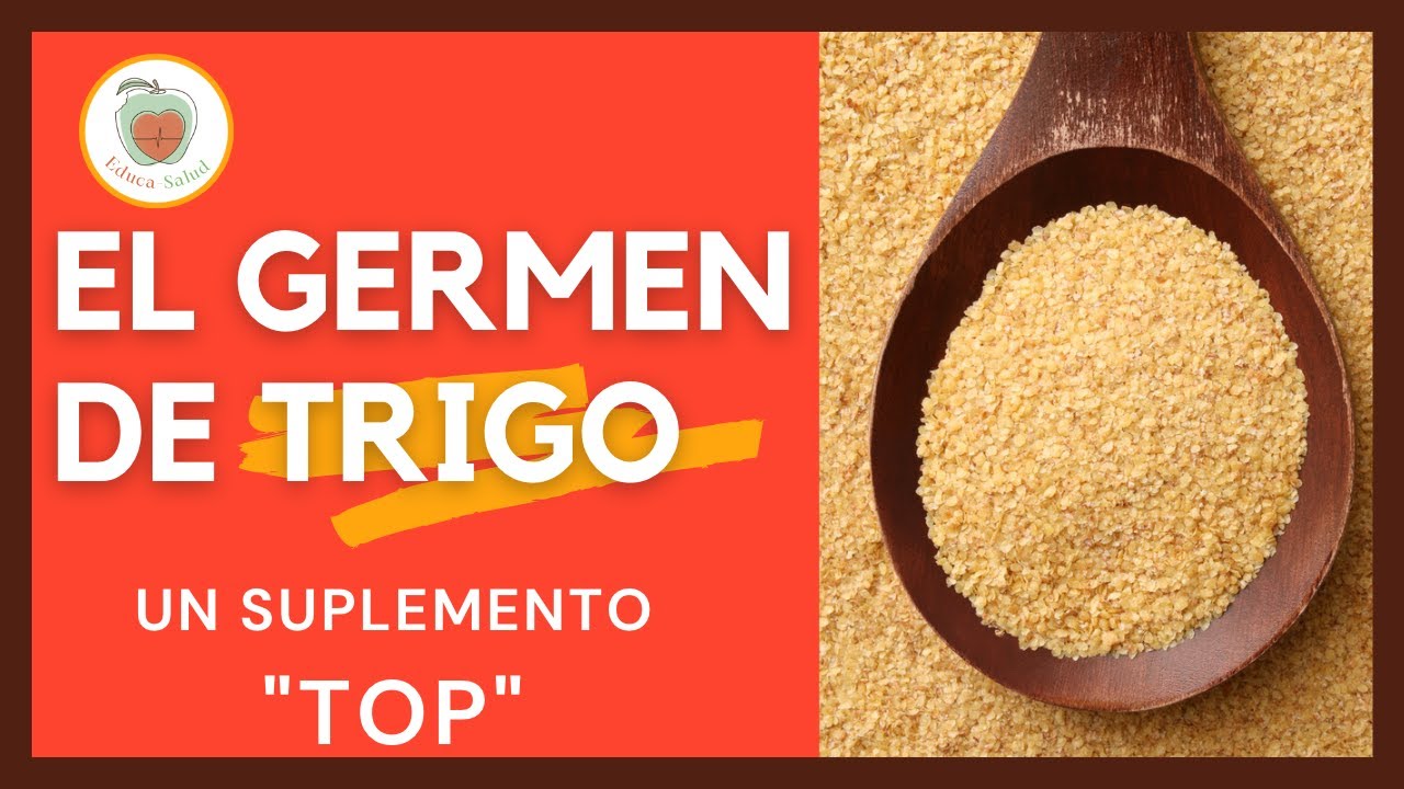 BENEFICIOS del GERMEN de TRIGO 🌾💚 (Propiedades, Cómo Consumirlo