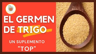 EL GERMEN DE TRIGO: PROPIEDADES