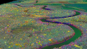 Mapping a Bornean rainforest to reveal biodiversity and carbon storage.