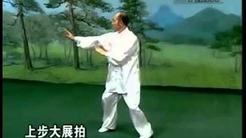 1 Liu He Tang Lang Mantis Basic-Cang Hua (hidden flower 藏花) tutorial