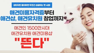애견미용자격증부터 애견샵 애견유치원까지 알아보세요