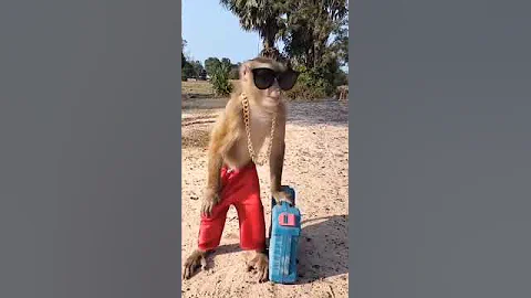 Aor hum akele hai #song #music #viralvideo #love #hindimusicworld #totalgaming #cat #funny #dance #j