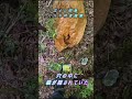 2026年5月22日