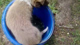 03072010041.mp4