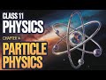 Class 11 Physics Chapter 14 | Particle Physics | Exercise Short Questions 1-5 | FBISE Board Exam