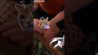 no stop stop #filian​ #envtuber​ #feral​#vtuberclips​ #vtuberen​ #fyp​