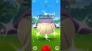 Yes bro! Shiny Wailmer in Pokémon Go! #yesbro #pokemon #shiny #wailmer #pokemongo #shinypokemon Yes bro! Shiny Wailmer in Pokémon Go! #yesbro #pokemon #shiny #wailmer #pokemongo #shinypokemon