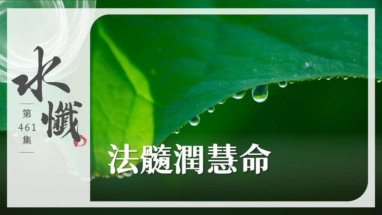 【法譬如水】 法髓潤慧命 - 第461集｜水懺｜慈悲三昧水懺｜ 20251230