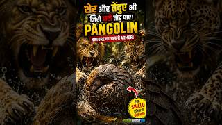 Sher Bhi Haar Gaya Pangolin Ka Secret #pangolin#animals#lion#football#trending#viral #soccer#shorts